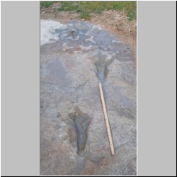 102_7511 (2013-08-19)m.JPG